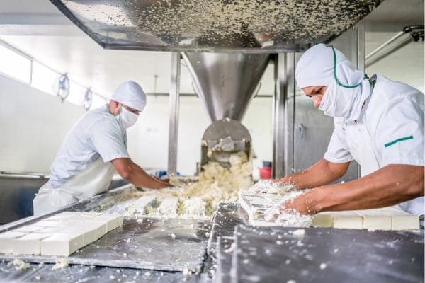 Workers processing food in a factory